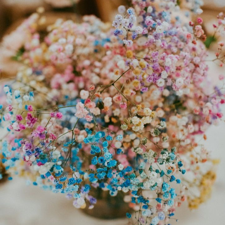 Mini Rainbow Bouquet